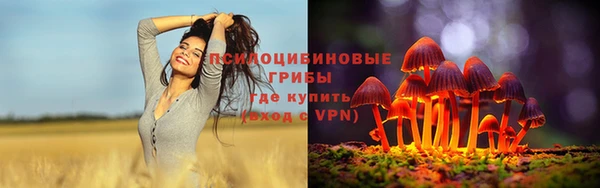 сатива Наволоки