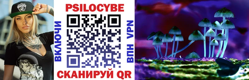 Псилоцибиновые грибы мухоморы  MEGA вход  Сурск  где найти  